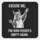 Pesquisar por pássaros adesivos Engraçado