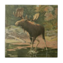 Pesquisar por no lago azulejos Vida selvagem