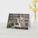 Pesquisar por festa gatinho aniversario cartoes Aniversário