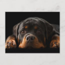 Pesquisar por rottweiler puppy cartoes Cachorrinho