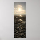 Pesquisar por la jolla pôsteres San diego