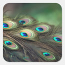 Pesquisar por pavão adesivos Azul