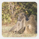Pesquisar por kruger adesivos Horizontal