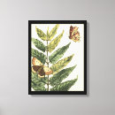 Pesquisar por inseto impressão de canvas Preto