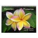 Pesquisar por havaiano calendarios Frangipani