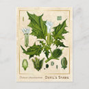 Pesquisar por diabos… cartoes postais For her