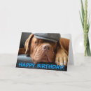 Pesquisar por bordéus cartoes Mastiff