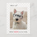 Pesquisar por cão westie cartoes postais Alô