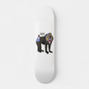 Pesquisar por primatas skates Mandril