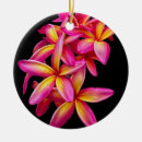 Pesquisar por bonito ornamentos Floral