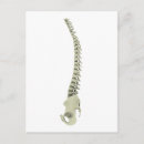 Pesquisar por coluna vertebral cartoes postais Complexidade