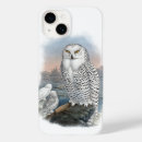 Pesquisar por ornitologia iphone capas Coruja