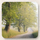 Pesquisar por fumo porta copos Natureza