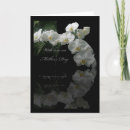Pesquisar por dia das mães da orquídea cartoes Floral