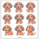 Pesquisar por caninos adesivos Dachshund