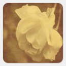 Pesquisar por envelhecido adesivos Colheita