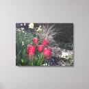 Pesquisar por tulipas impressão de canvas Natureza