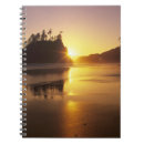 Pesquisar por beach cadernos de notas Natureza