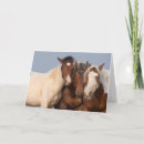 Pesquisar por cavalos selvagens mustang cartoes Vida selvagem