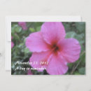 Pesquisar por havaiano convites Plumeria