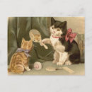 Pesquisar por maliciosos cartoes postais Gato