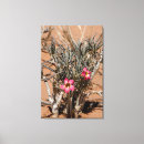 Pesquisar por flor colorida impressão de canvas Deserto
