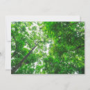 Pesquisar por stuart cartoes Guangzhou