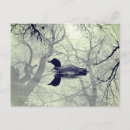 Pesquisar por leão branco cartoes postais Preto