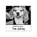 Pesquisar por animais carimbos For pets