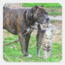 Pesquisar por amante bull terrier adesivos Amante de cachorro