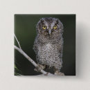 Pesquisar por animais botons Face