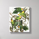 Pesquisar por passarinho impressão de canvas Vintage