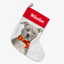 Pesquisar por bull terrier meias de natal Dogs