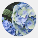 Pesquisar por close up adesivos Floração