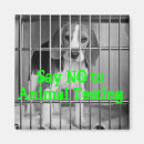 Pesquisar por diga imas Cão