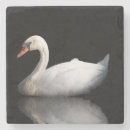 Pesquisar por cisne porta copos Branco