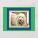 Pesquisar por do bom dia do café cartoes postais Café da manhã