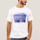 Pesquisar por monte fuji camisetas Barco