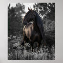 Pesquisar por white horse pôsteres Cavalo