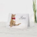 Pesquisar por charity cartoes postais Rescue