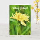 Pesquisar por dandelion cartoes Flor amarela