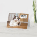 Pesquisar por humor felino cartoes Animal