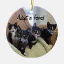 Pesquisar por gatinho preto ornamentos Bonito