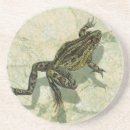 Pesquisar por anfíbios porta copos Sapo