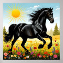 Pesquisar por cavalo preto Natureza