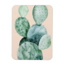 Pesquisar por ímãs do cacto imas Botânico