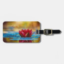 Pesquisar por natural bagagem tags Natureza