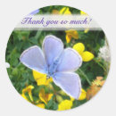 Pesquisar por borboletas brancas adesivos Floral