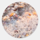 Pesquisar por sanibel adesivos Oceano