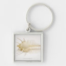 Pesquisar por cortado chaveiros Animal